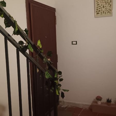 Apartament Casa Selinunte Palermo Zewnętrze zdjęcie